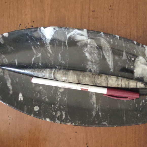 Fossil - Picture 5 of 5